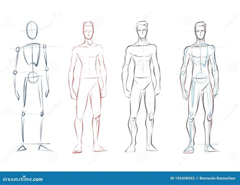 boceto de cuerpo|dibujos de cuerpo humano.